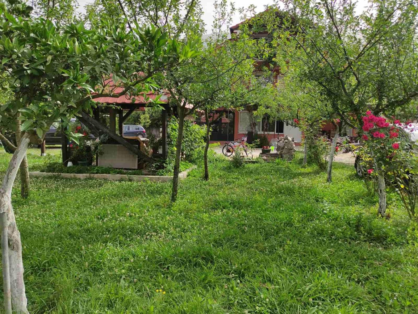 Green Valley Kotor Luaran gambar