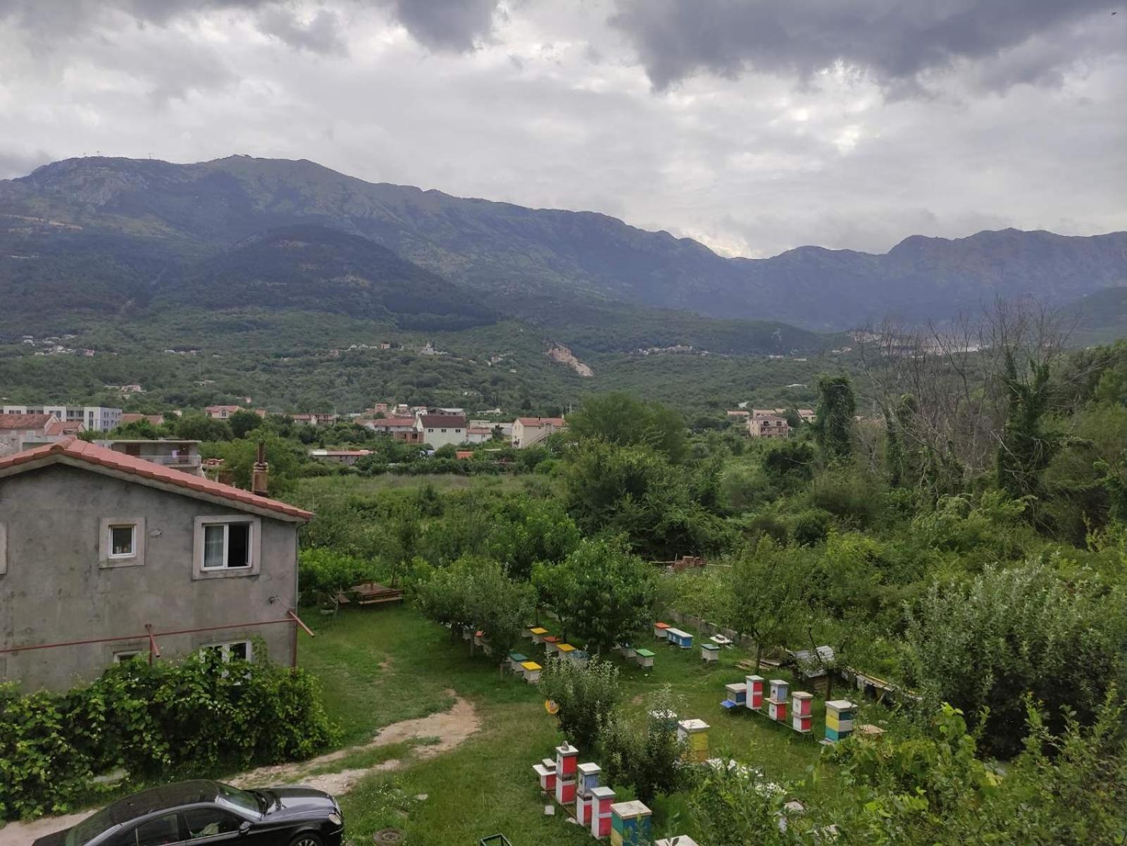 Green Valley Kotor Luaran gambar